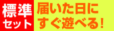 全台標準セット!届いた日にすぐ遊べる!