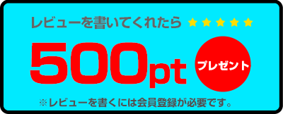レビューを書いてくれたら500ptプレゼント!